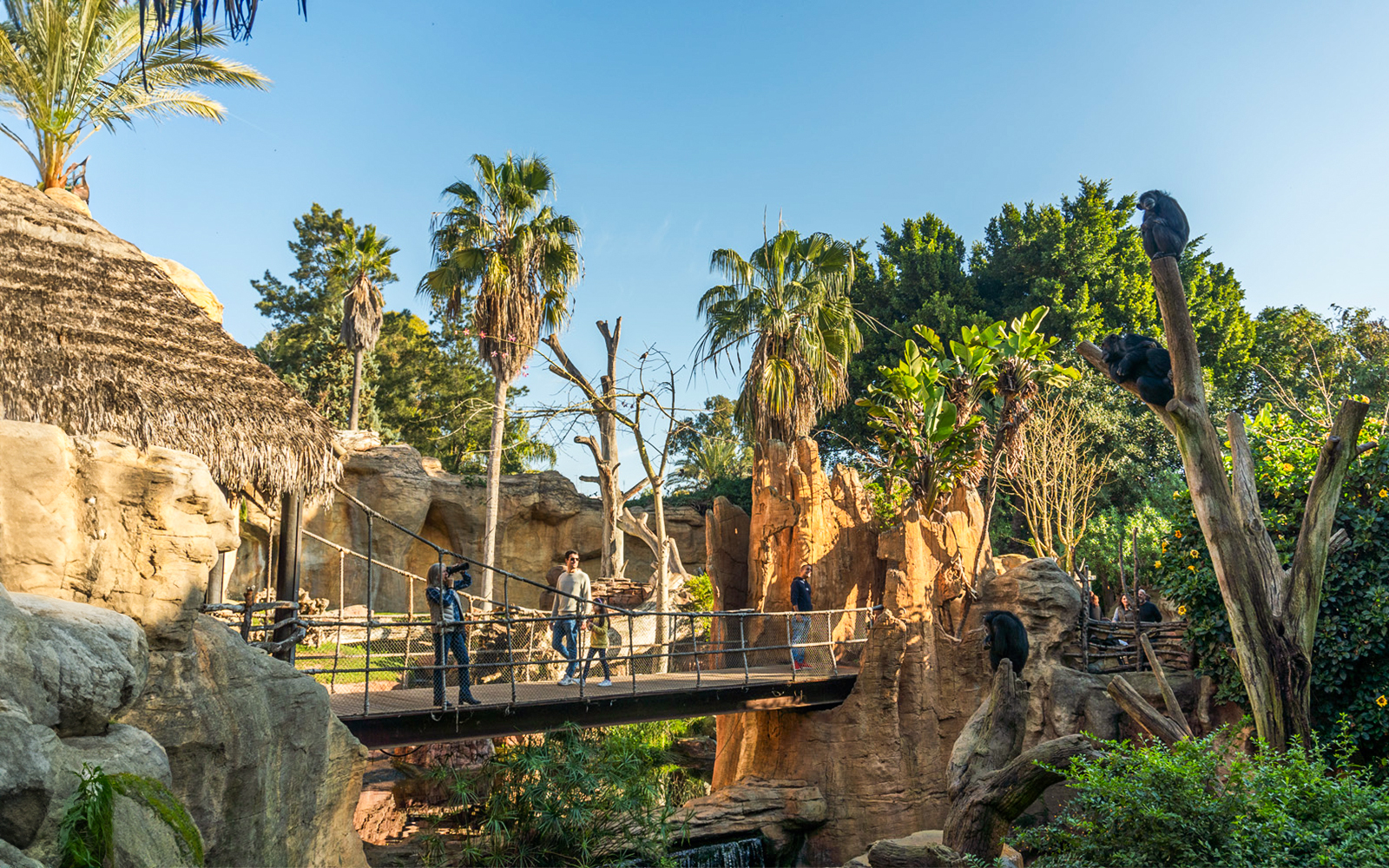 Bioparc Fuengirola with tropical vegetation and animals roaming freely